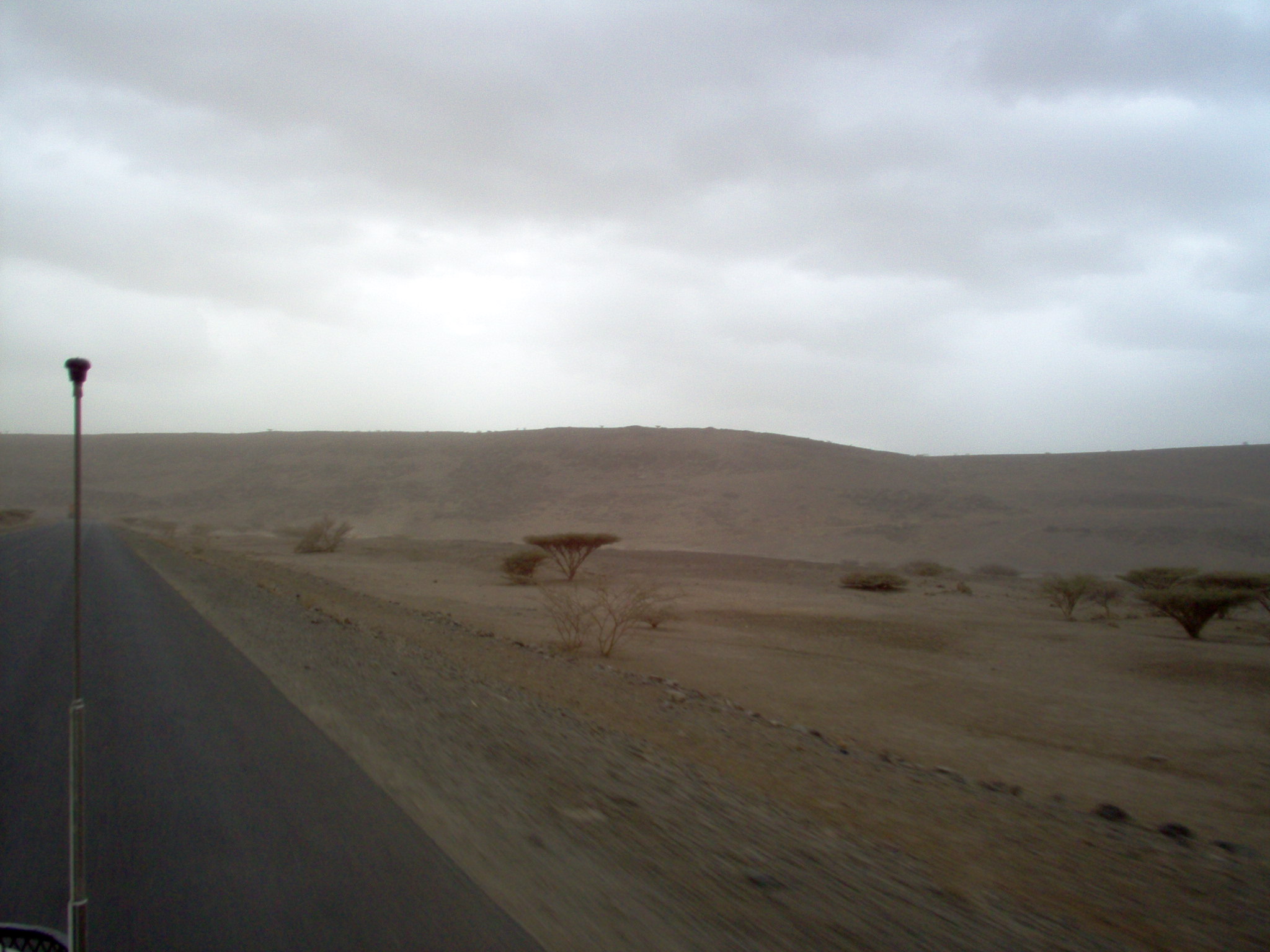 Gallery image 11