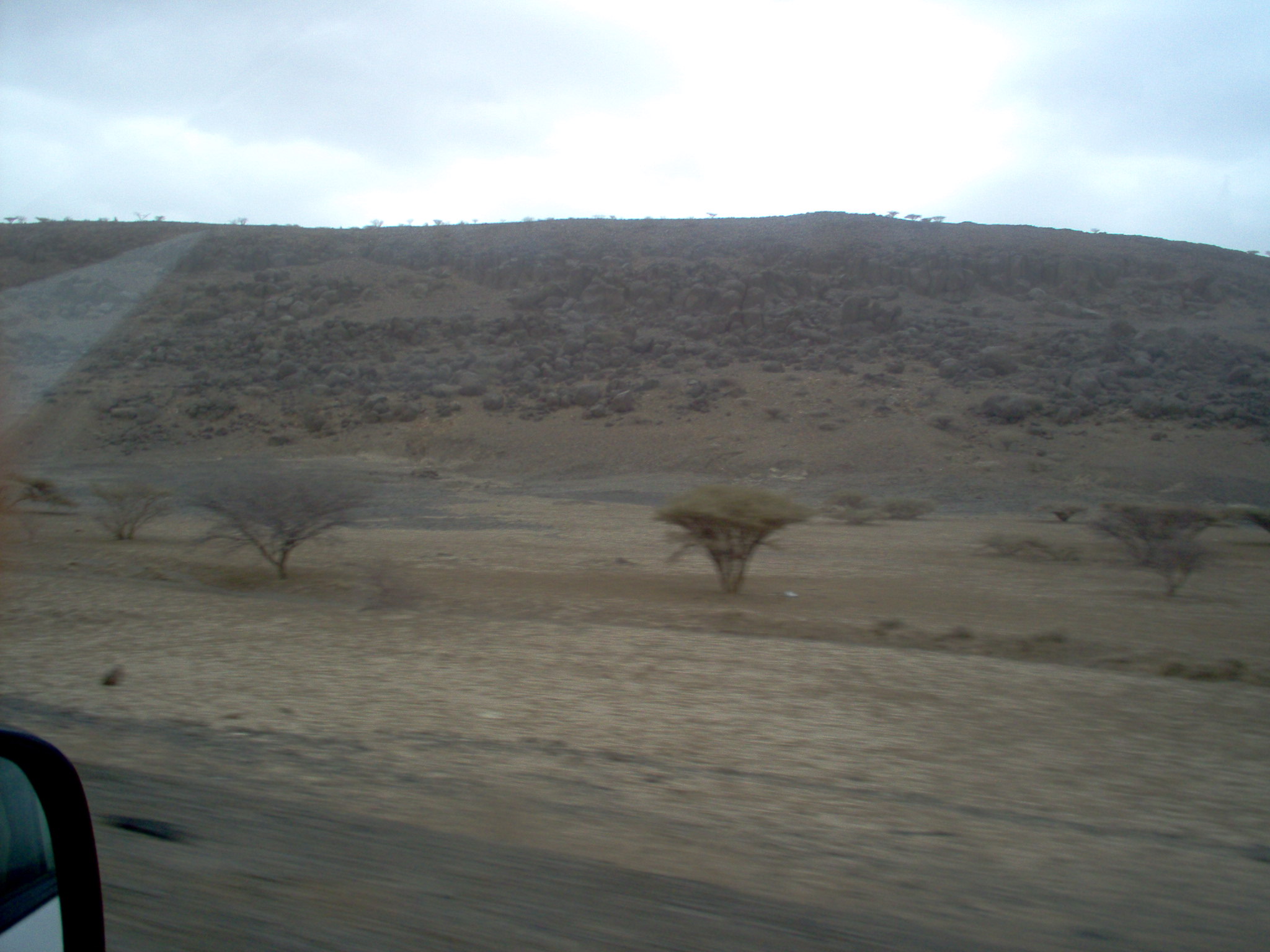 Gallery image 12